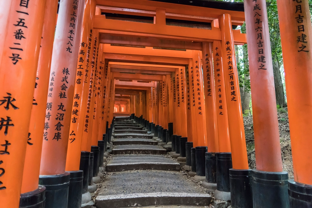 Japonais A1 – Débutants, lancez-vous !