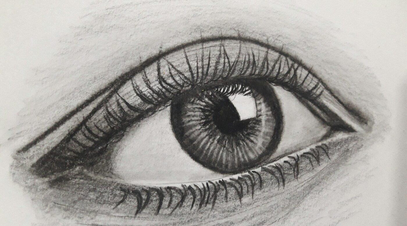 Dessin d&rsquo;observation, techniques de base